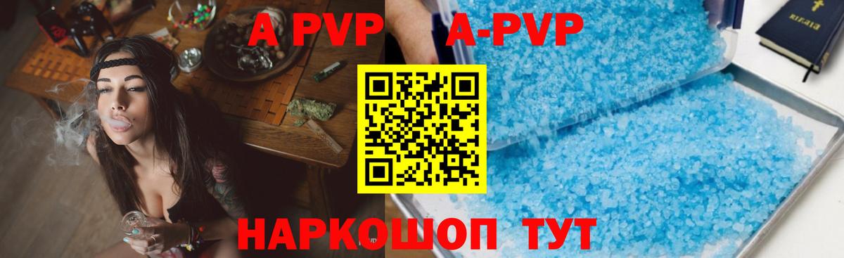 Alfa_PVP СК Сальск