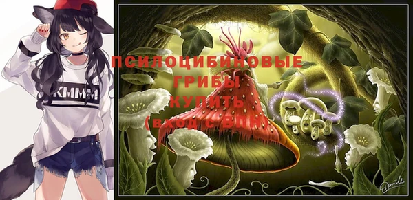 соль курить ск Новодвинск