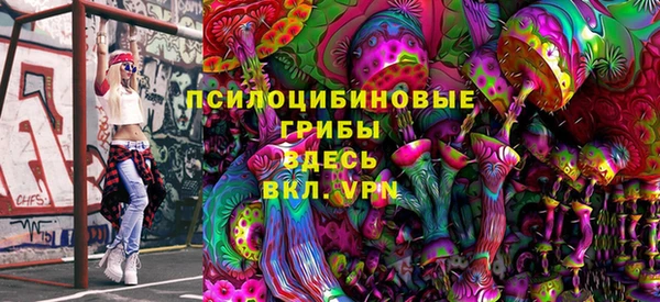тгк Новокубанск