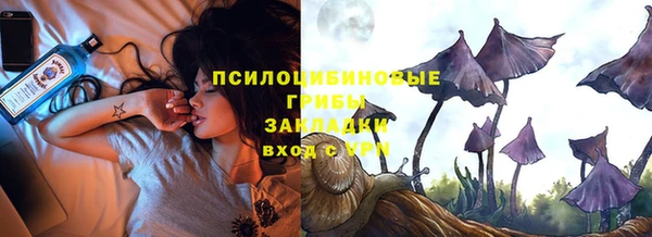 соль курить ск Новодвинск