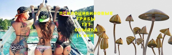метамфетамин Тайга