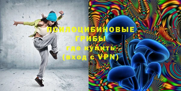 тгк Новокубанск