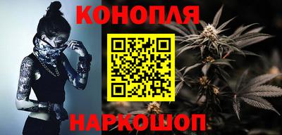 прущие грибы Краснознаменск